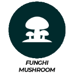 Allergene Funghi - Mushroom